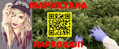прущие грибы Усть-Джегута