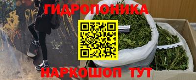 прущие грибы Усть-Джегута