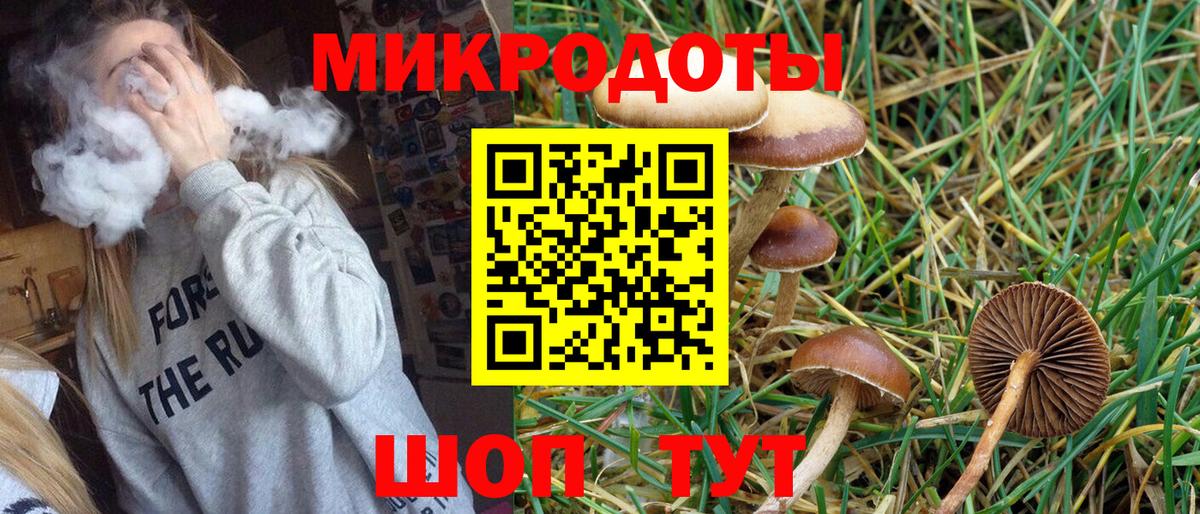 дарнет шоп  Вход с VPN  Бугуруслан  Галлюциногенные грибы Psilocybine cubensis 