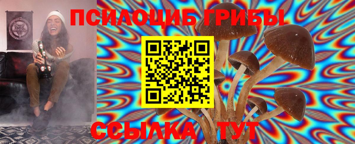 Галлюциногенные грибы мухоморы Бугуруслан